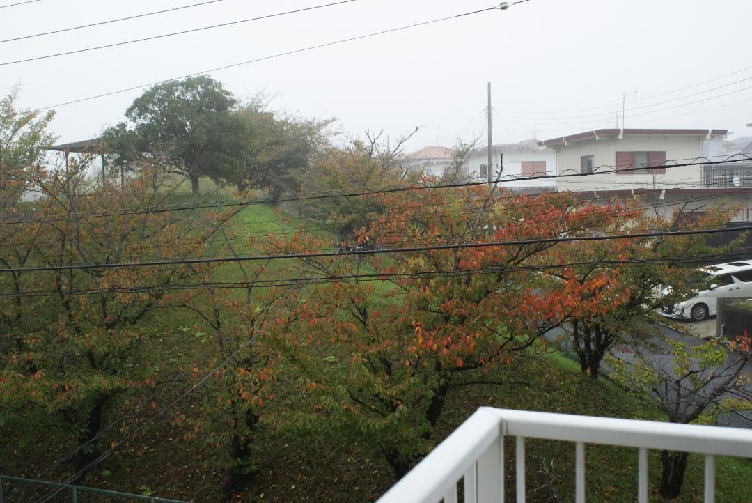 レンズ(単焦点) Minolta AF 24mm F2.8 #7744