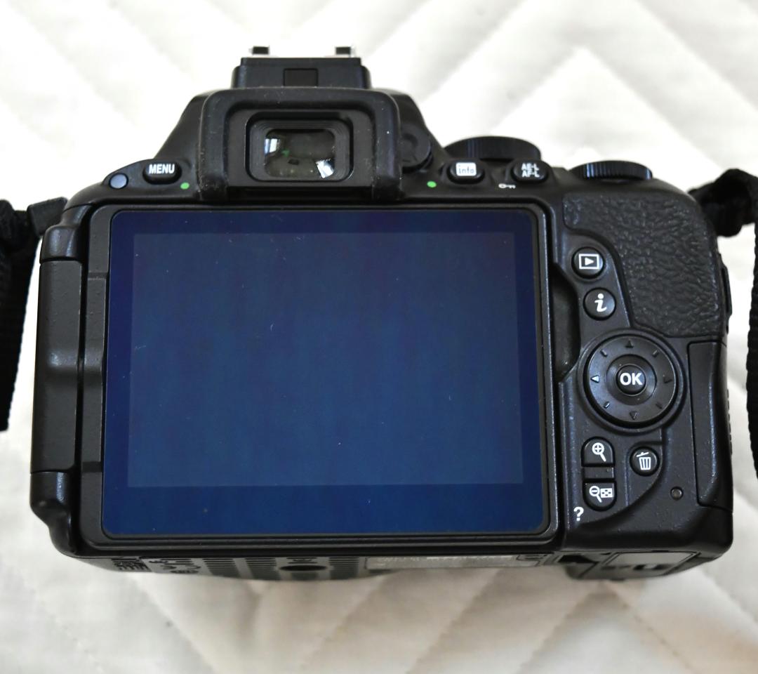 Nikon D5500 デジタル一眼レフカメラボディ　CD　ガイド本付　美品