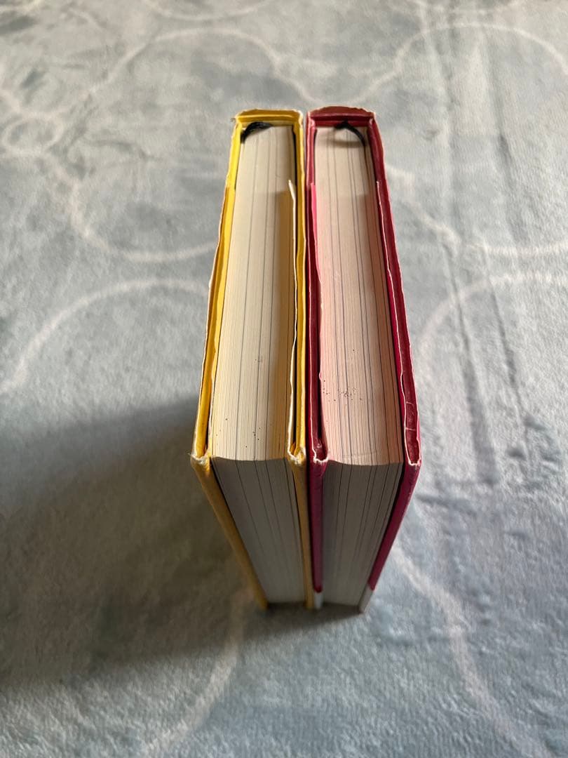 リアリティ・トランサーフィン「振り子の法則」