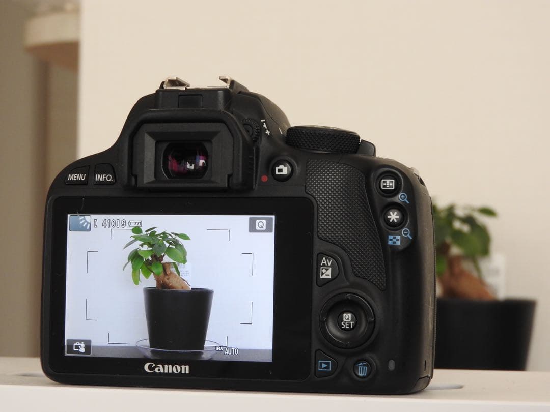 Canon EOS Kiss X7 18-55 55-250 キャノン 一眼レフ