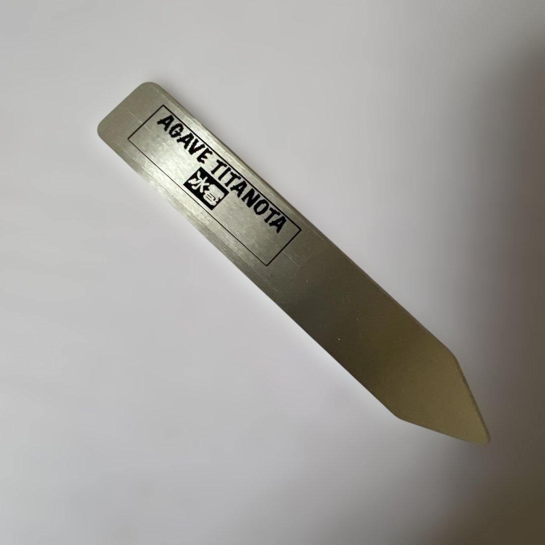 アガベ 鉢植発送 冰雹ブツブツ系 極上血統 超特選 スペシャル個体