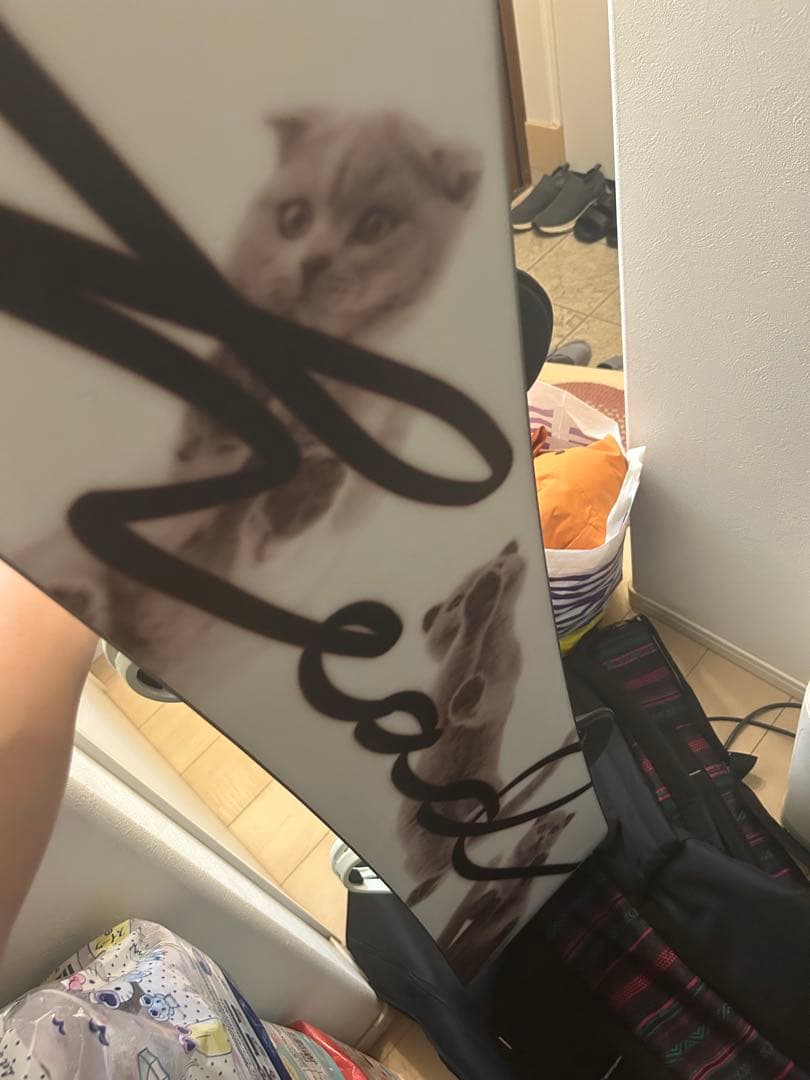 ビンディング付きスノーボード