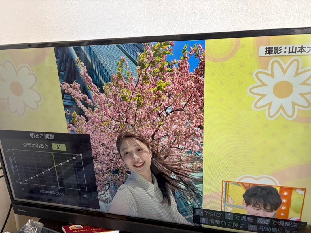 TOSHIBA 40S21 液晶テレビ 本体 REGZA