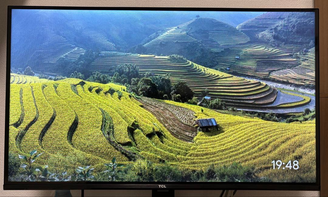 2024年製 TCL 32V型 液晶テレビ Google TV 32S5402