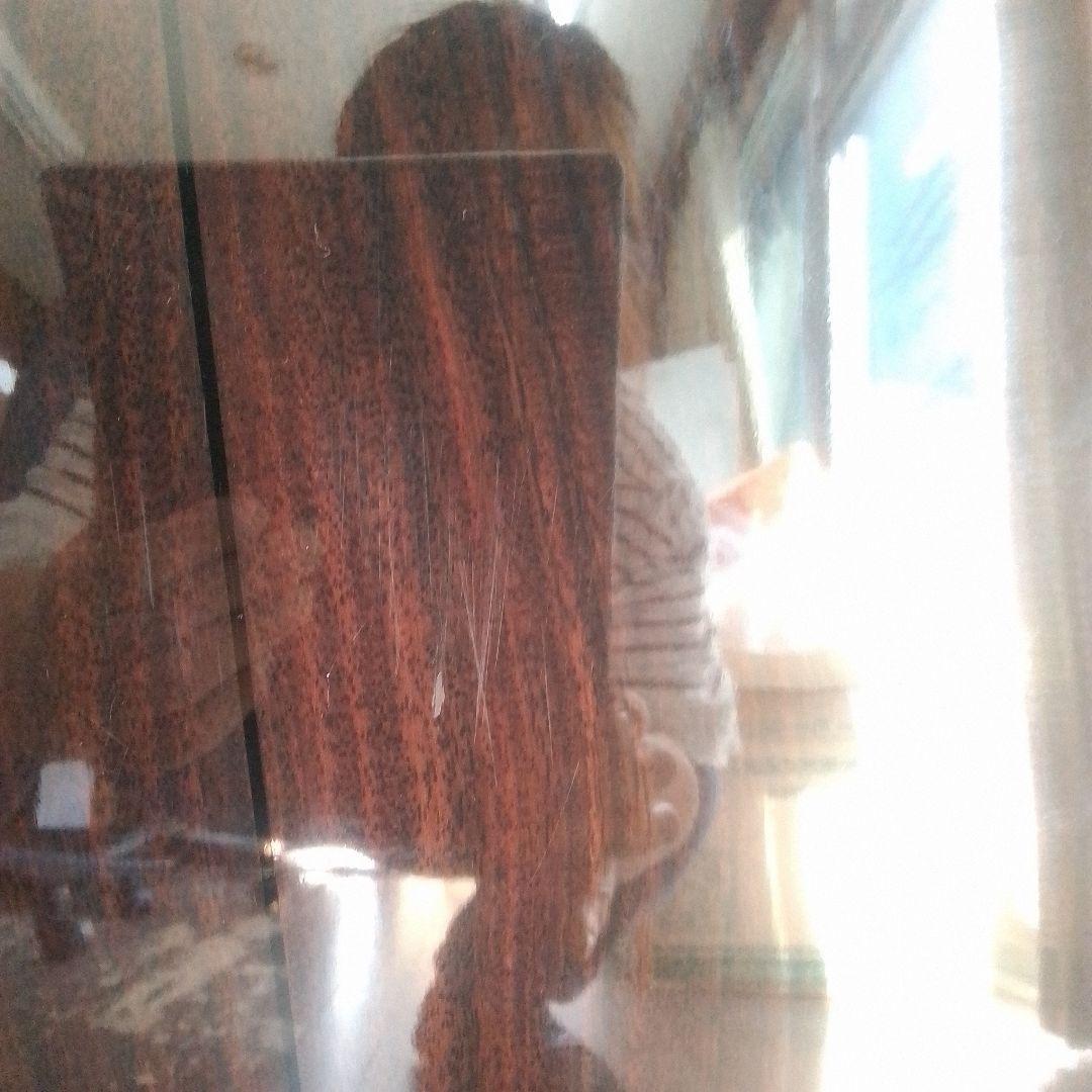 Recording King RO-27 アコースティックギター ケース付き