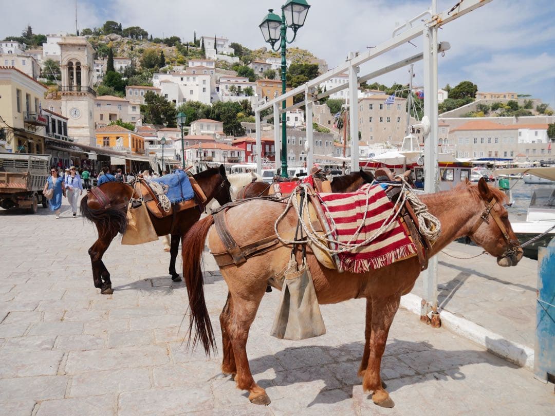 DMC-GX7MK2 ミラーレス一眼 単焦点レンズ＋ズームレンズセット