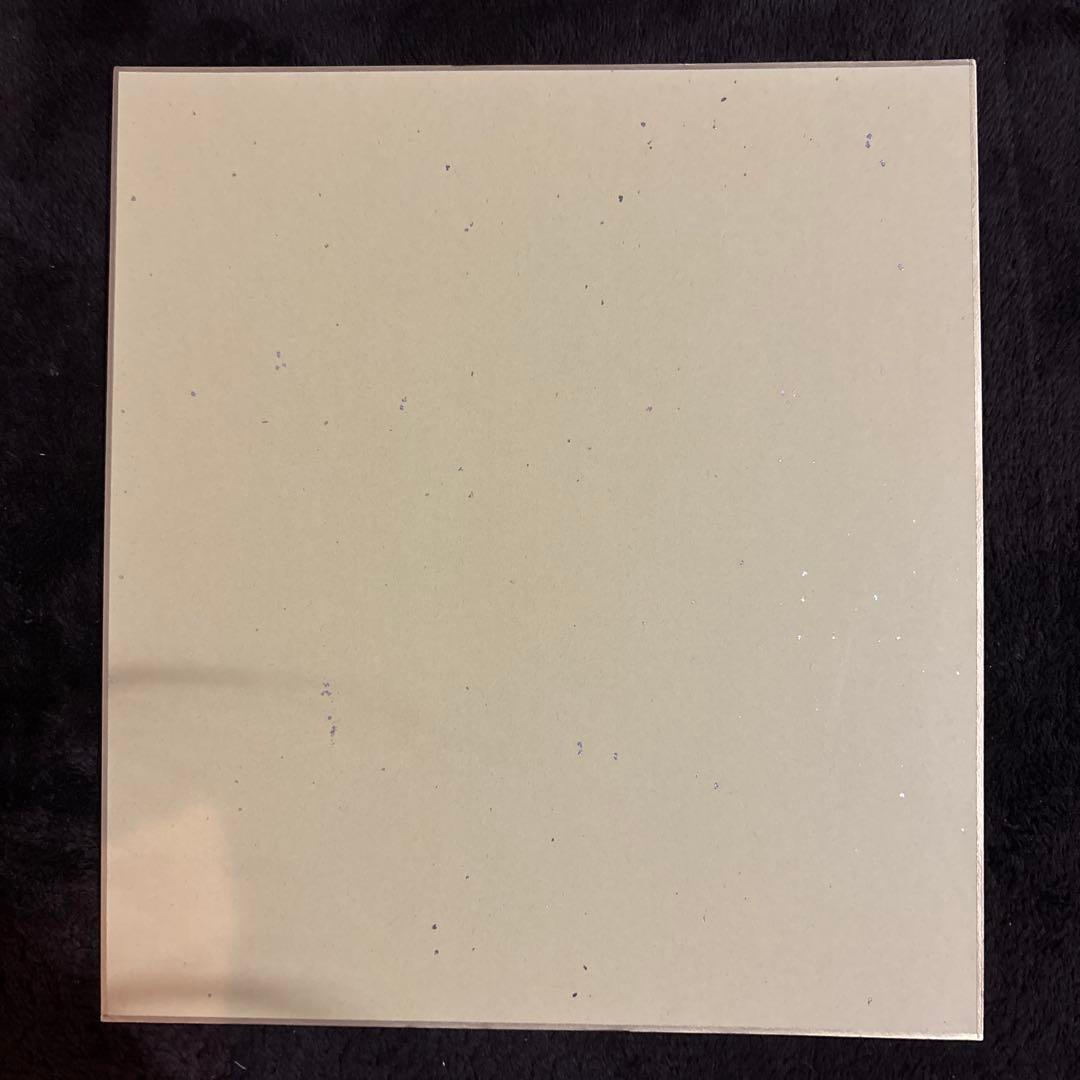 ポケモン コトブキヤ リーフ 色紙