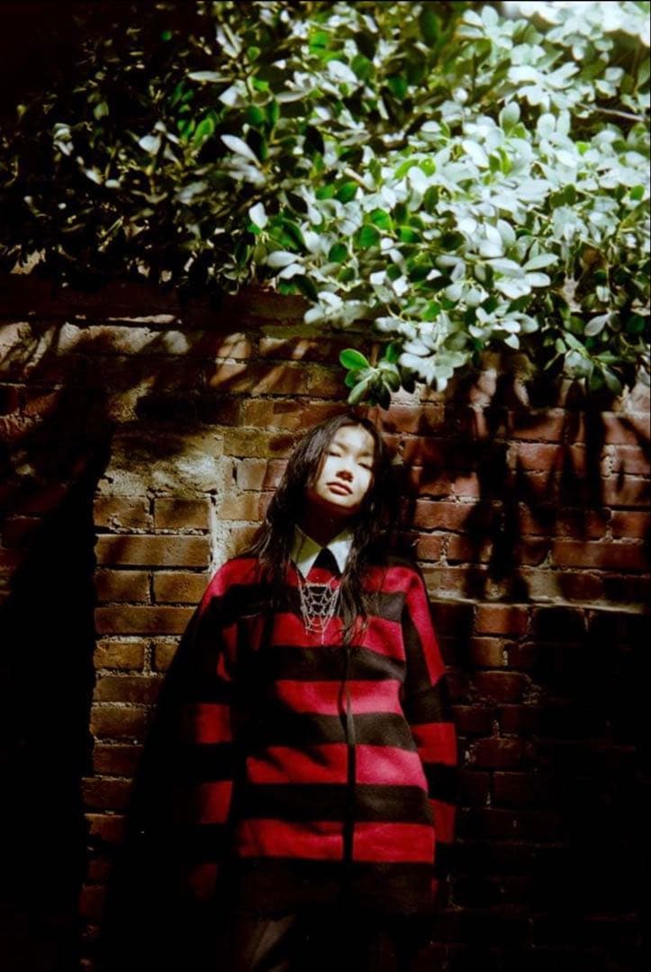 トップス DAIRIKU Fulling Damage Border Knit 22AW