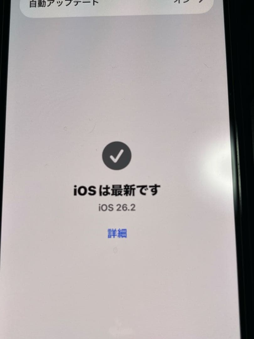 し*く様 iPhone12mini 64GB ブルー　極上品