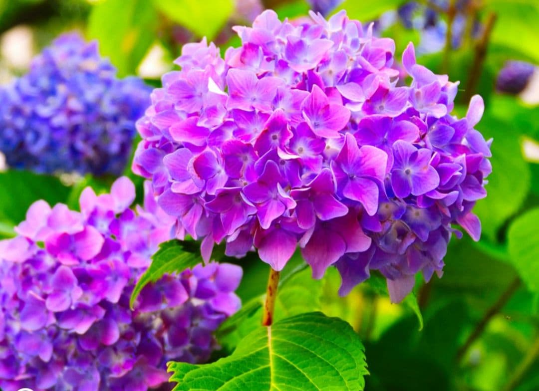 NIKON　D70s 広角から望遠まで　初心者⚡️ニコン⚡️一眼レフ