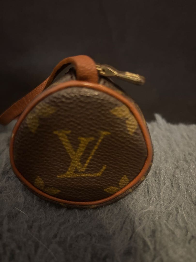 LOUIS VUITTON ルイヴィトン 旧パピヨン専用ポーチ
