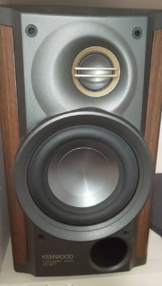 小型BluetoothアンプDCP100＆スピーカーセット