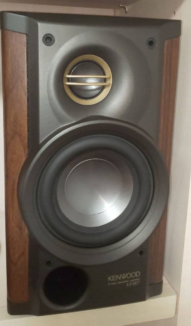 小型BluetoothアンプDCP100＆スピーカーセット