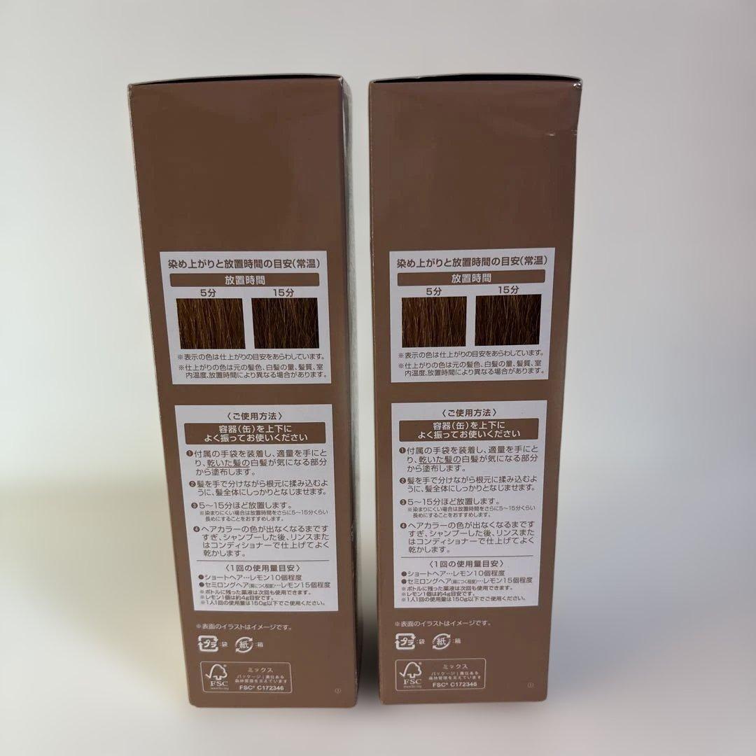 ECLAT ボタニカルエアカラーフォーム EXライトブラウン 150gx2セット