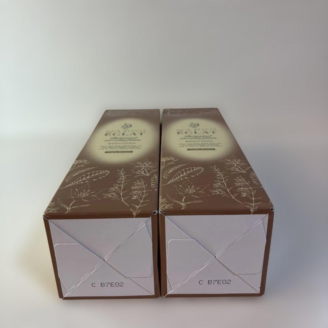 ECLAT ボタニカルエアカラーフォーム EXライトブラウン 150gx2セット