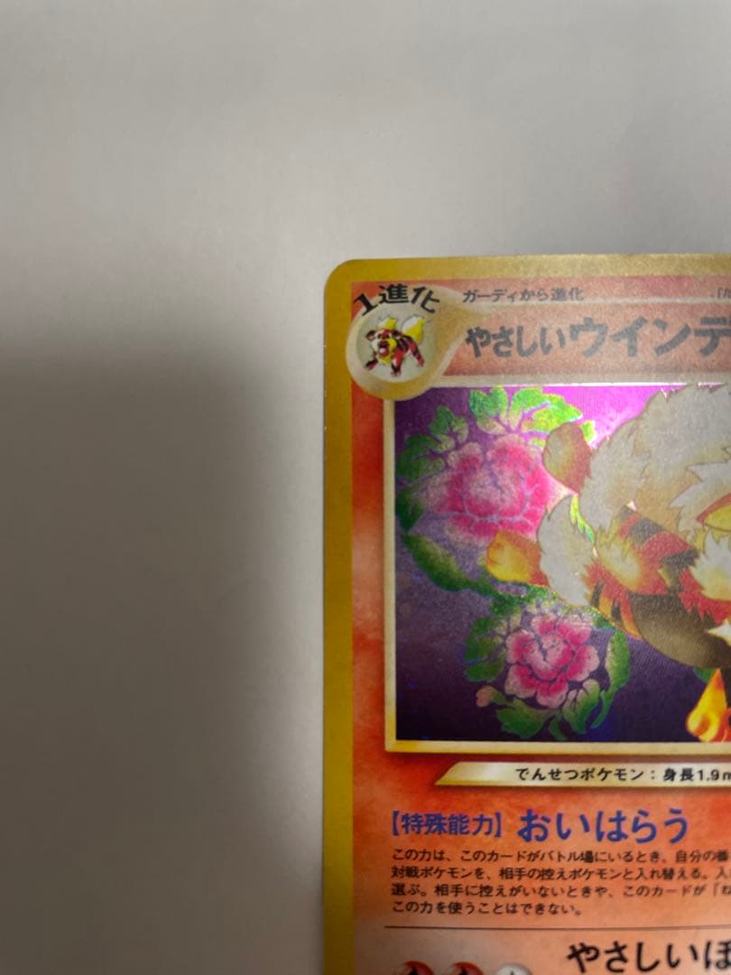 やさしいウィンディ