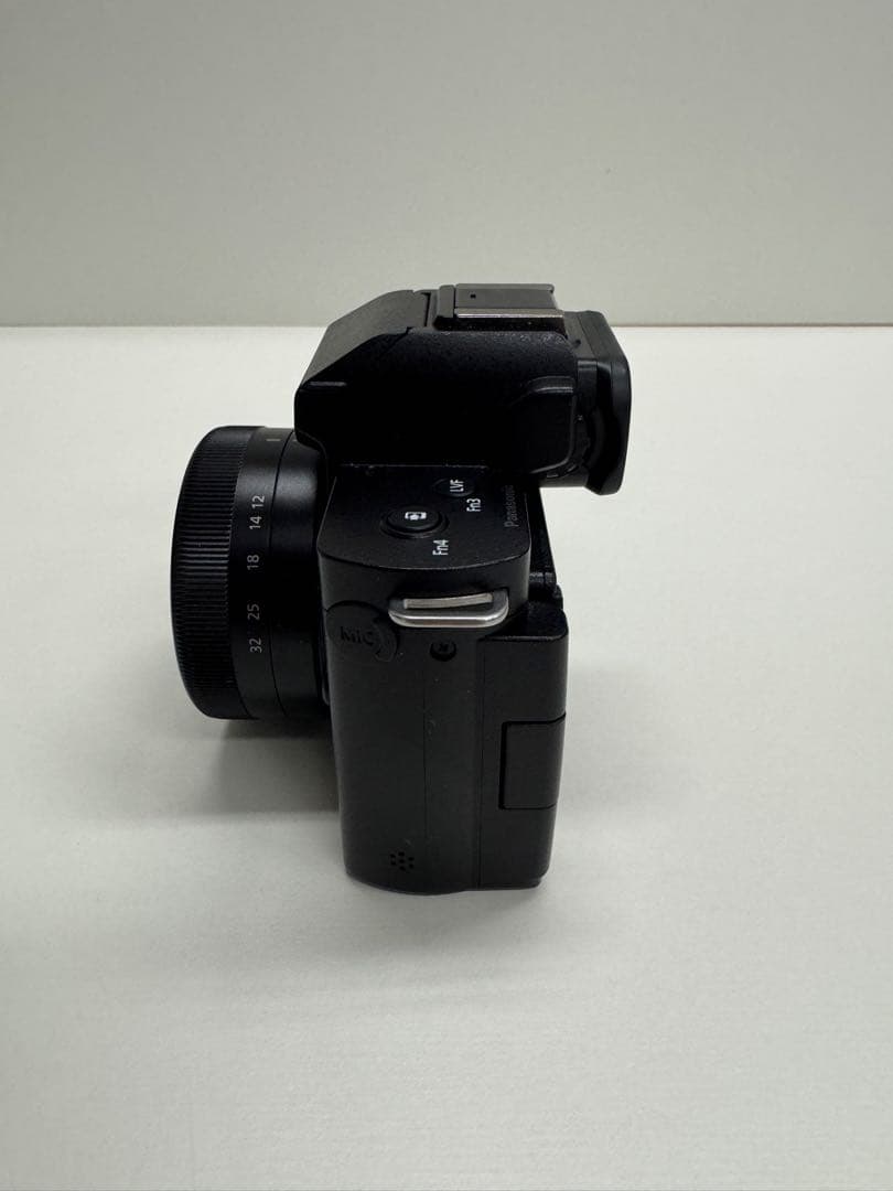 【美品】 Panasonic LUMIX DC-G100V レンズキット