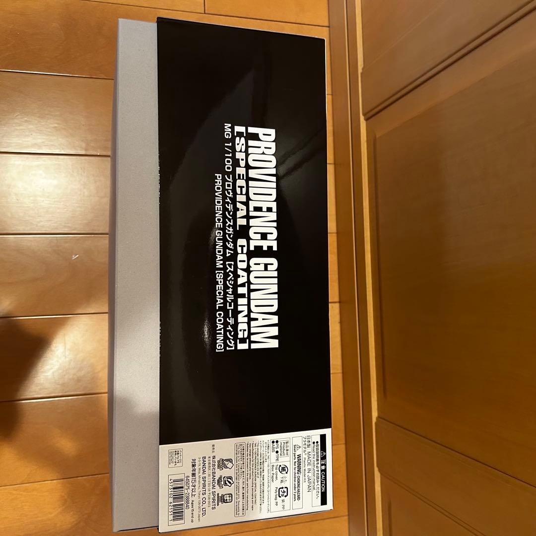 MG プロヴィデンスガンダム スペシャルコーティング