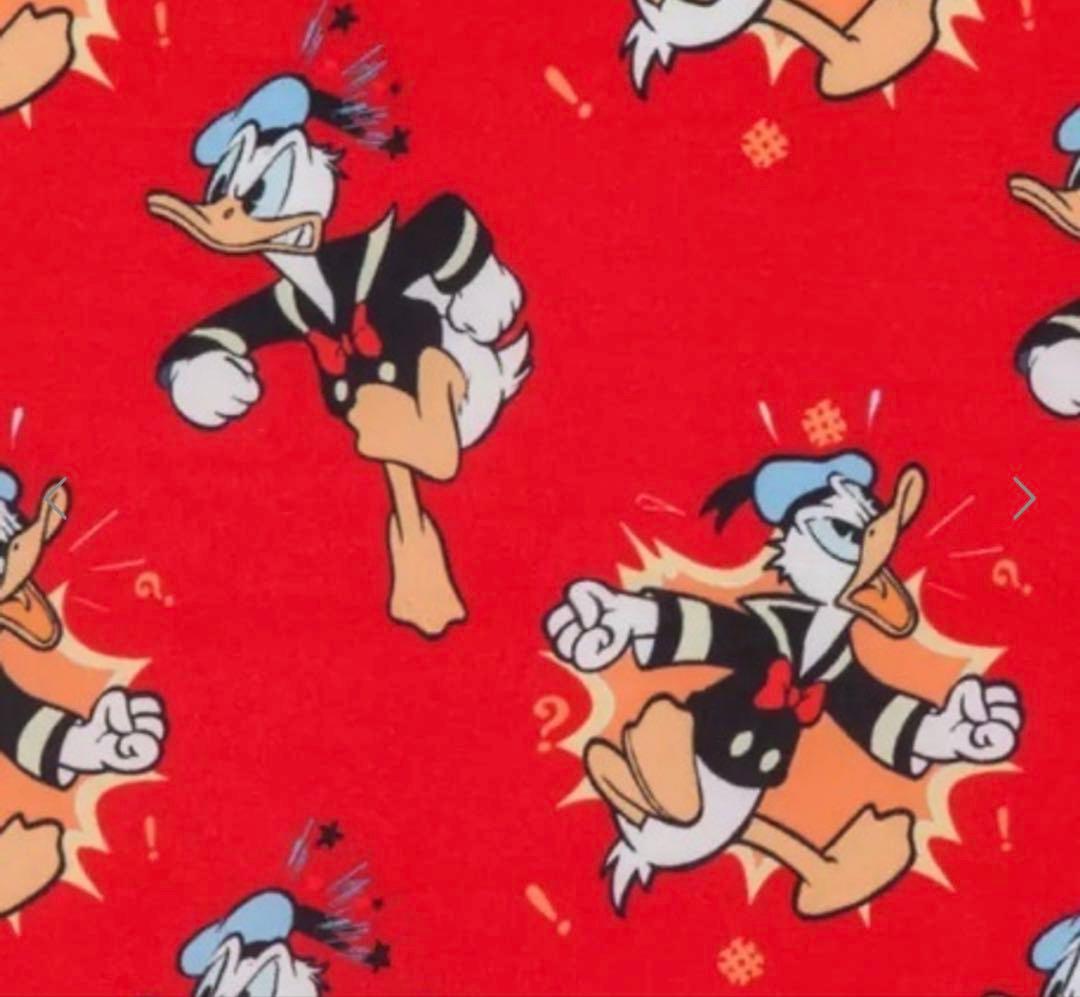 ドナルド　ラウンジフライ　リュック