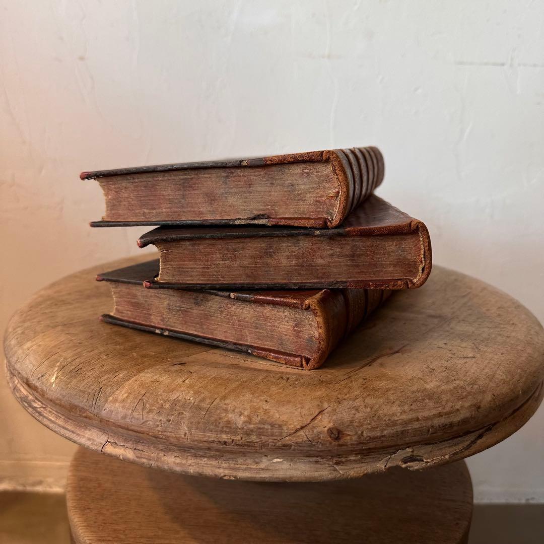 フランスアンティーク・洋書セット / アンティーク /ビンテージ / レトロ