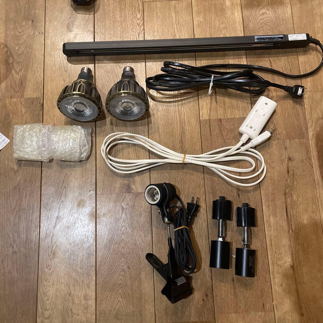 パキプス　発根管理　セット