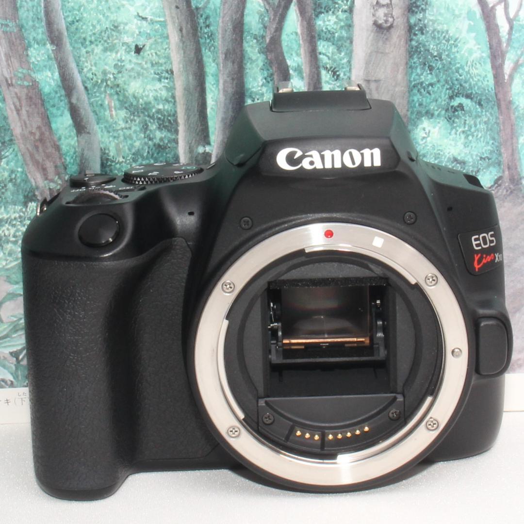 ☆扱い易い多機能な一眼レフ機☆キャノン kiss X10 ダブルレンズ☆