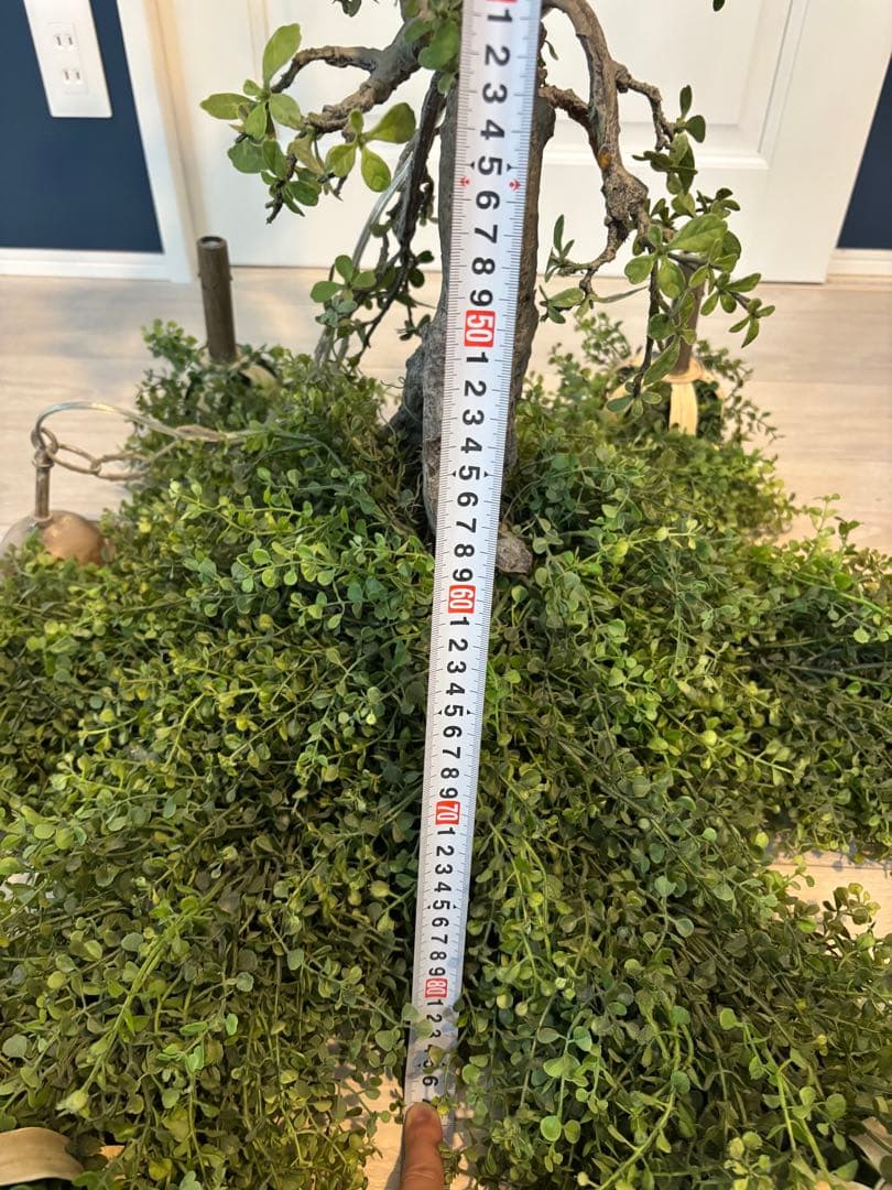 森のシャンデリア