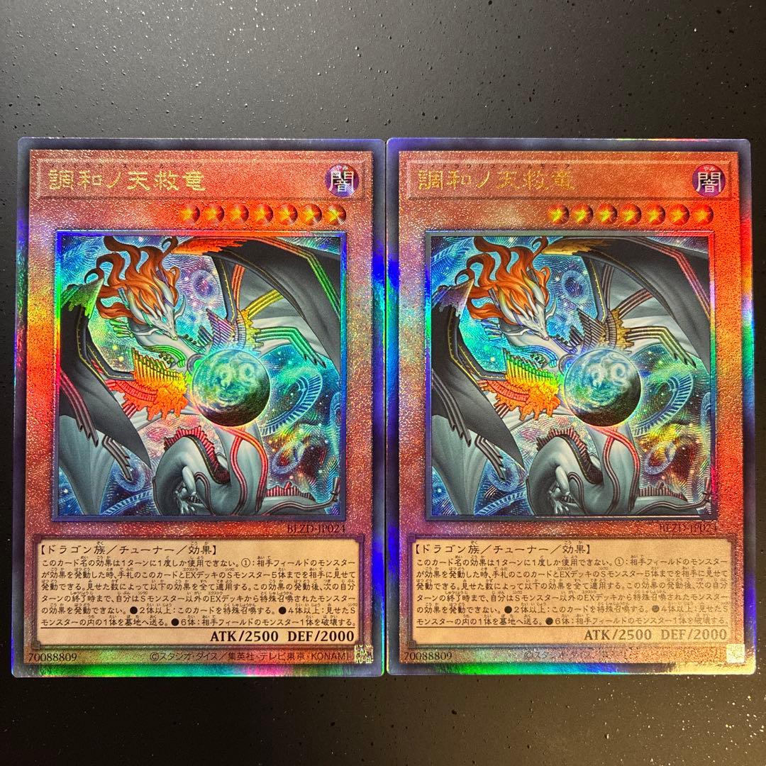 調和ノ天救竜　レリーフ２枚