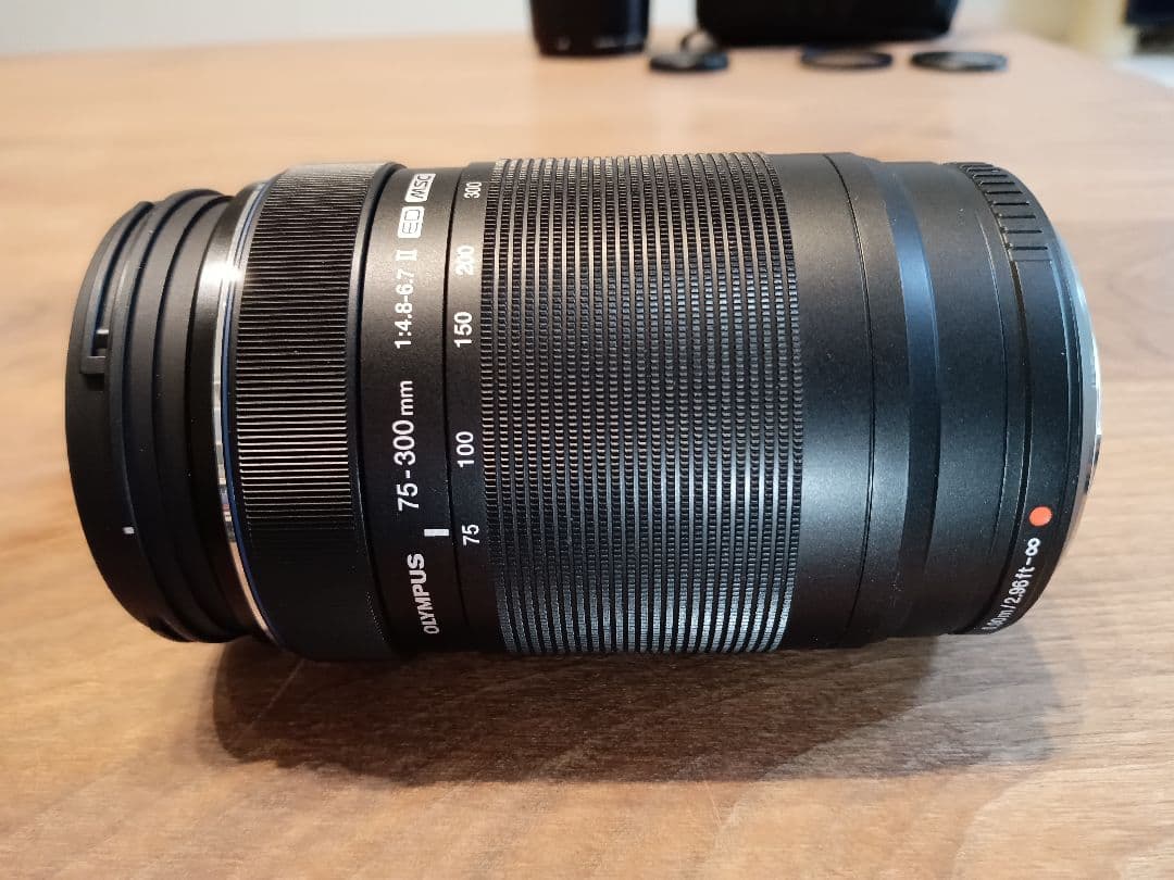 【レンズプロテクター付】 OLYMPUS 75-300mm II ED MSC