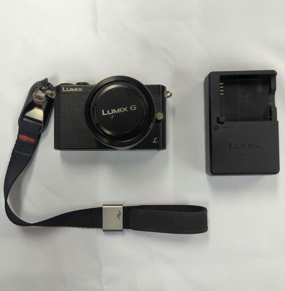 Panasonic LUMIX GM1 レンズキット