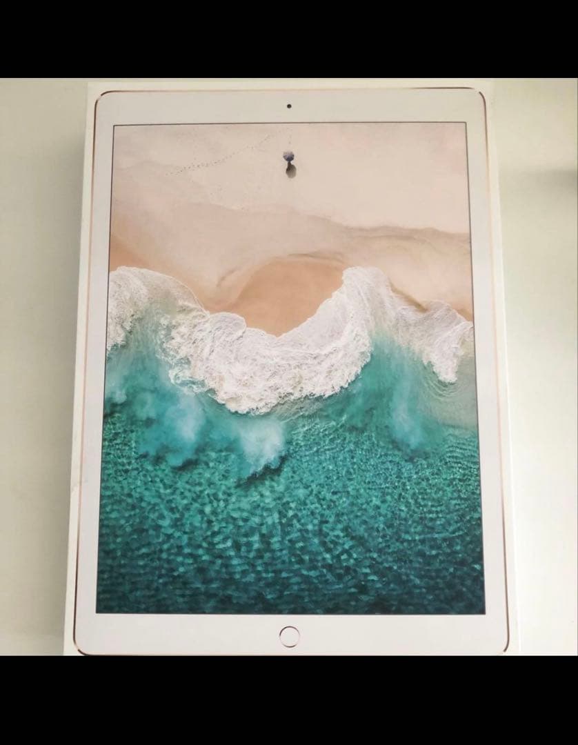 iPad pro 12,9インチ 第二世代 256GB ゴールド