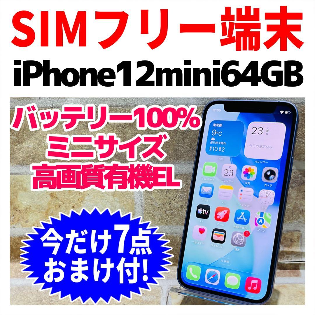 SIMフリー iPhone12mini 64GB パープル 電池良好