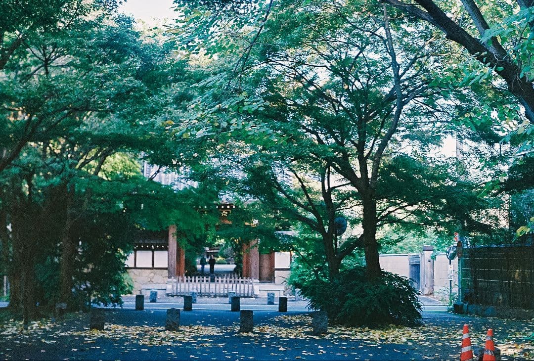 [並品]整備・試写済 OLYMPUS OM-1 + レンズ3本