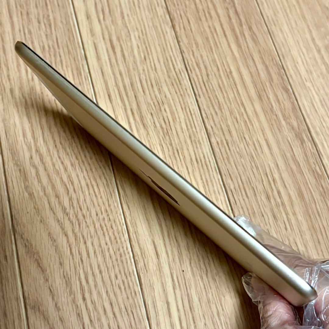 iPad mini 第4世代　バッテリー最大容量96%　Cellular
