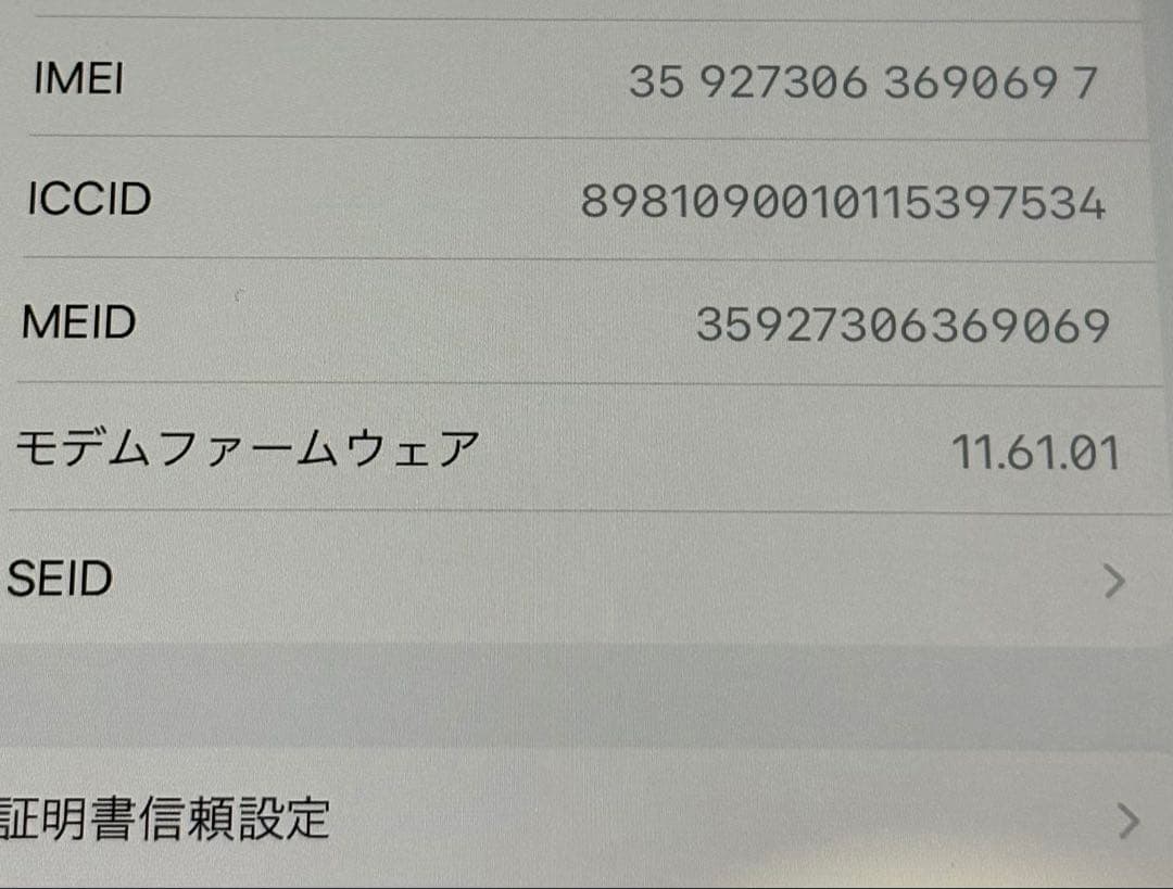 iPad mini 第4世代　バッテリー最大容量96%　Cellular