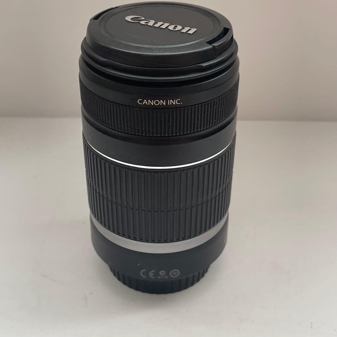 動作品 Canon EF-S 55-250mm ズームレンズ