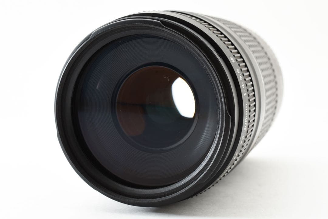 美品☆キヤノン Canon EF 75-300㎜ 1:4-5.6Ⅲ
