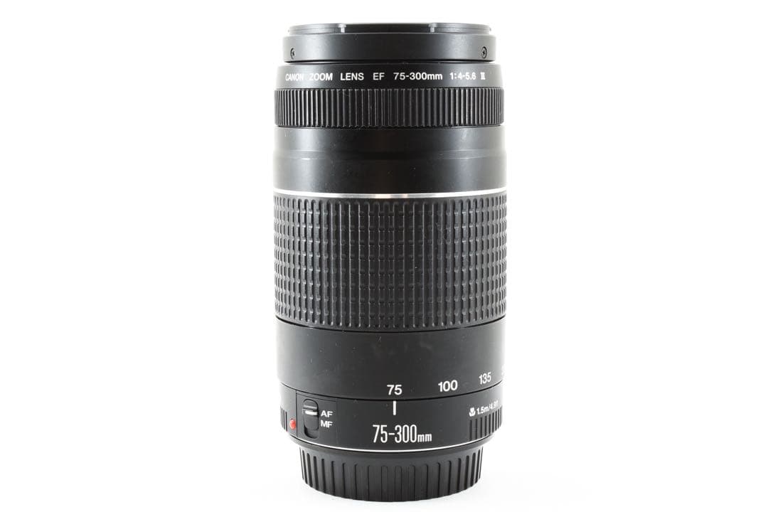 美品☆キヤノン Canon EF 75-300㎜ 1:4-5.6Ⅲ