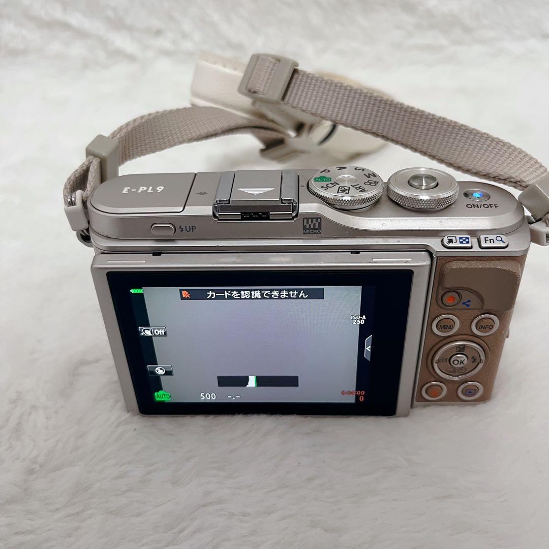 【希少】オリンパス E-PL9 ボディ