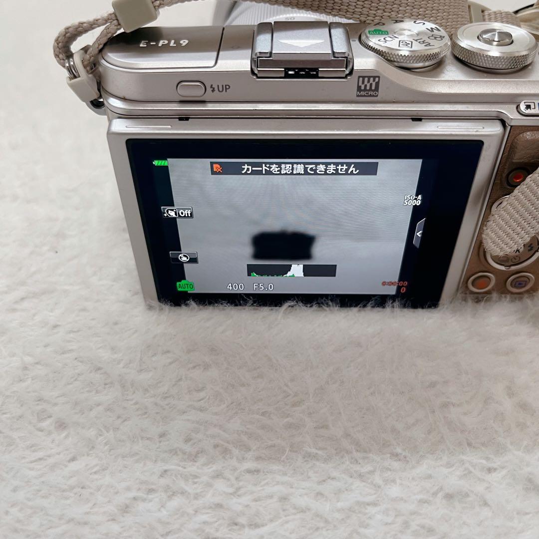 【希少】オリンパス E-PL9 ボディ