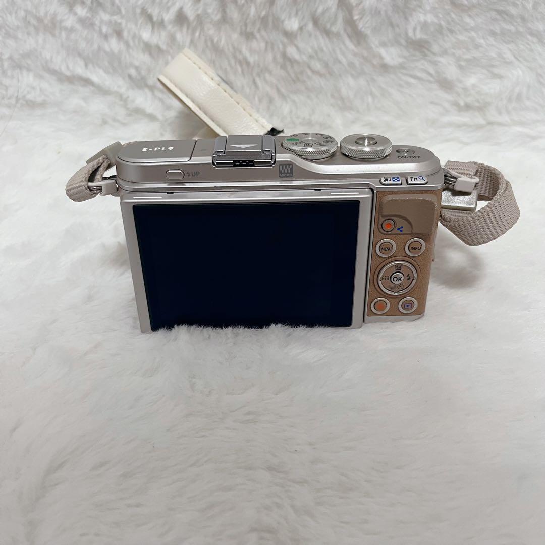 【希少】オリンパス E-PL9 ボディ