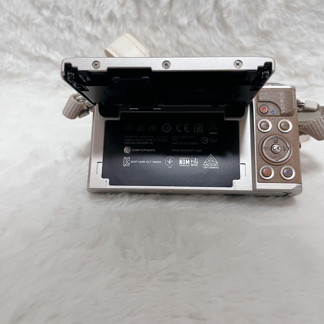 【希少】オリンパス E-PL9 ボディ