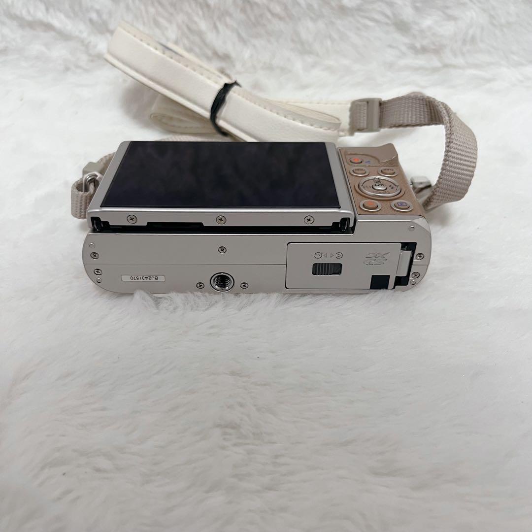 【希少】オリンパス E-PL9 ボディ