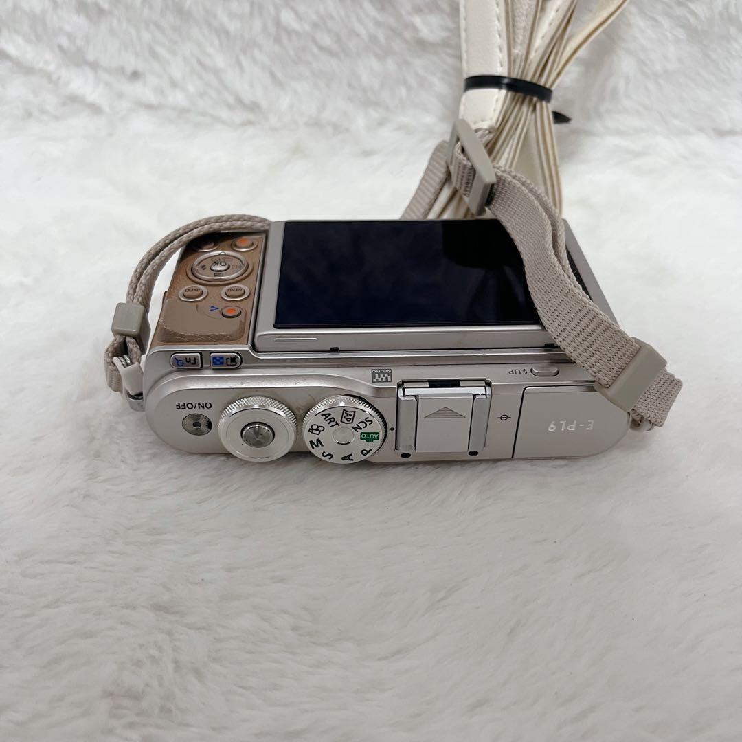 【希少】オリンパス E-PL9 ボディ