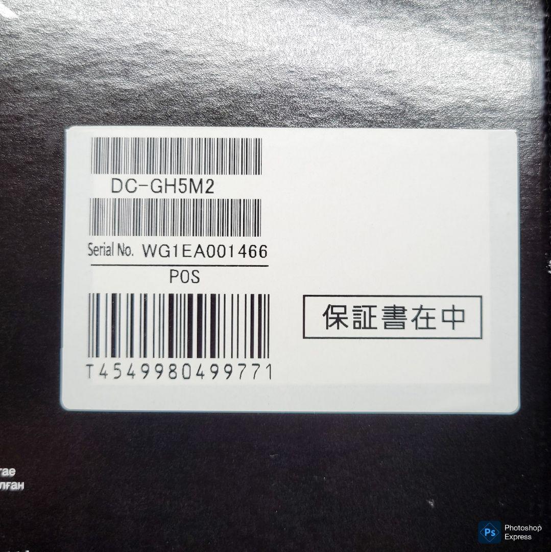 【 超美品 】 Panasonic Lumix GH5M2 パナソニック