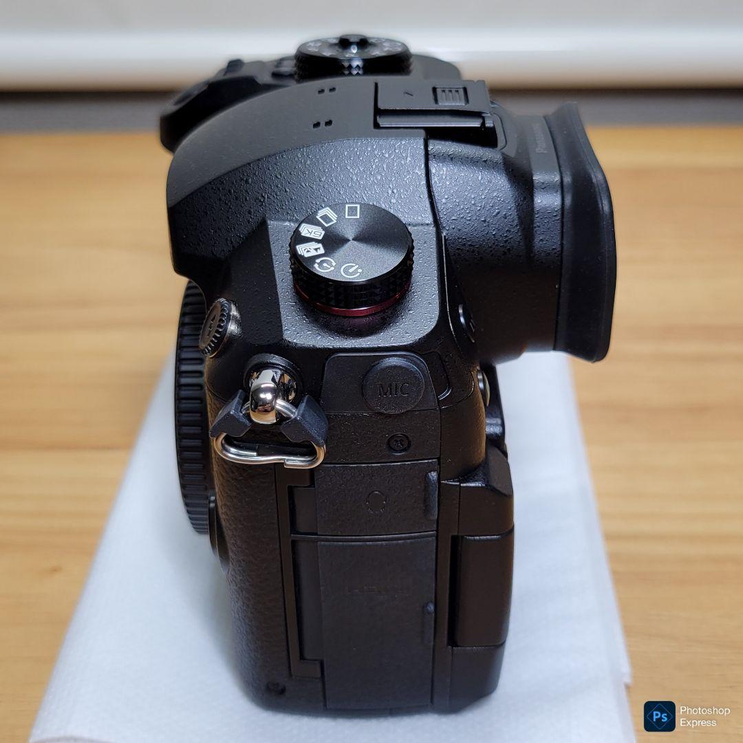 【 超美品 】 Panasonic Lumix GH5M2 パナソニック