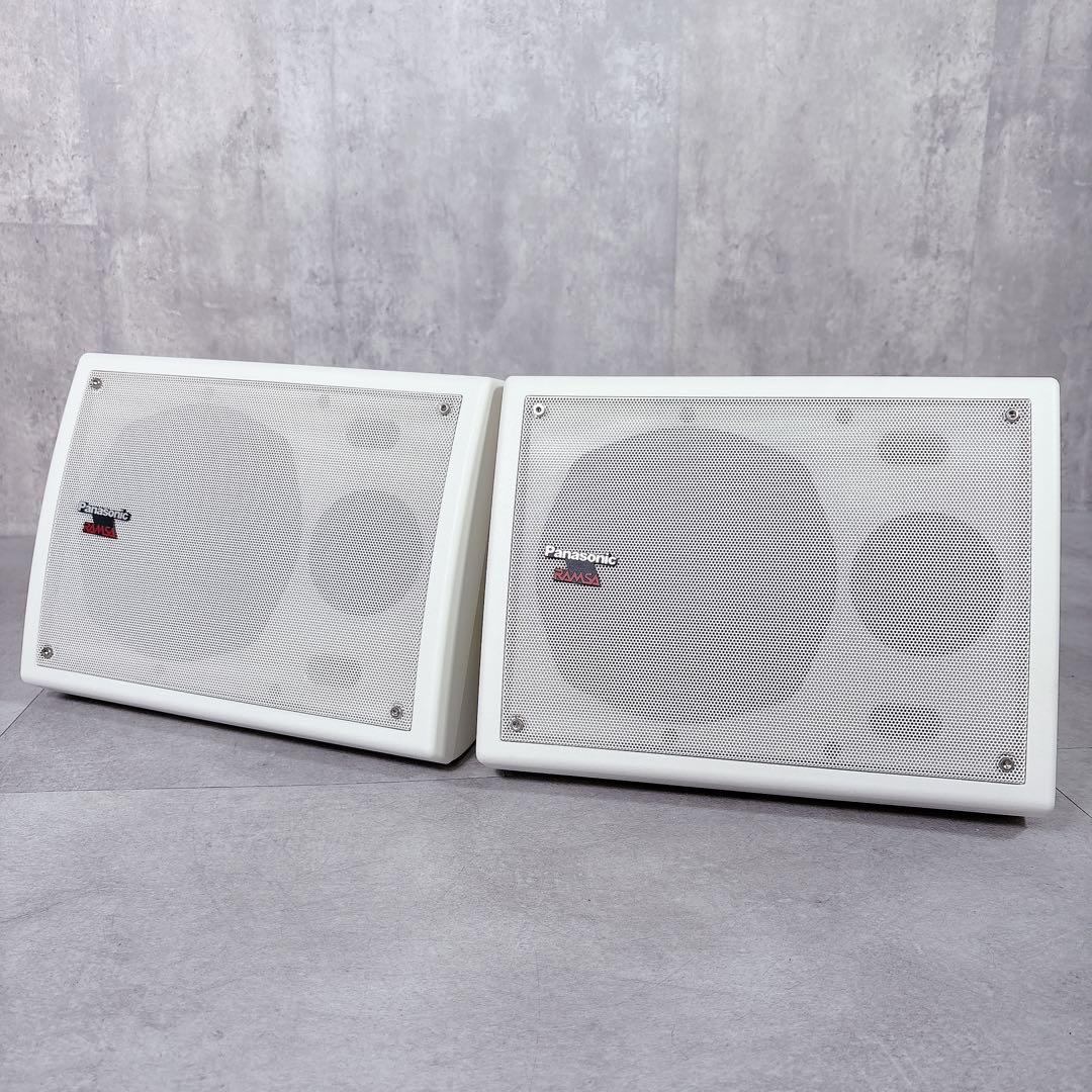 V641 激レア RAMSA WS-NF055 ニアフィールドスピーカー 屋内用