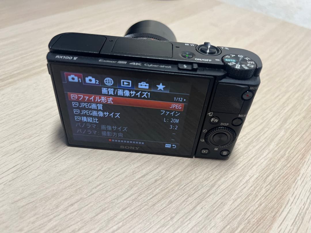 【美品】SONY DSC-RX100M5A 箱 付属品あり
