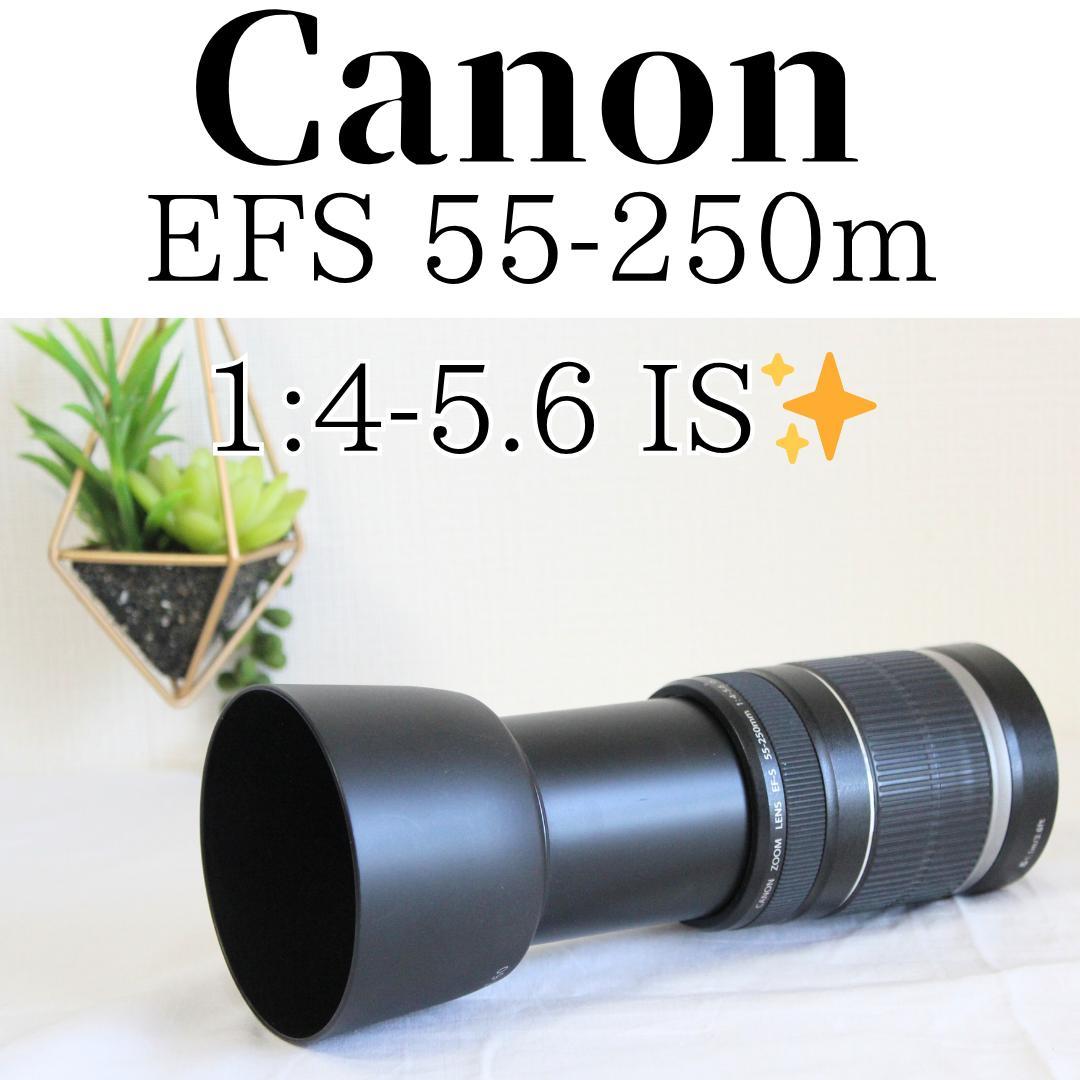 レンズ(ズーム) Canon EFS 55-250m 1:4-5.6 IS