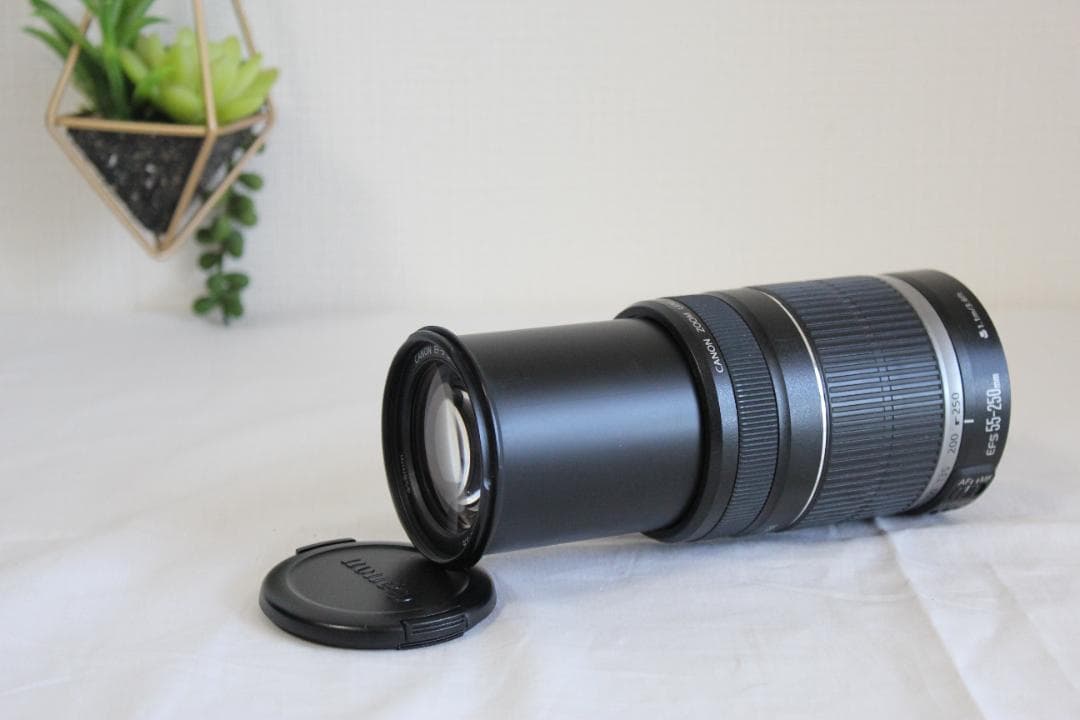 レンズ(ズーム) Canon EFS 55-250m 1:4-5.6 IS